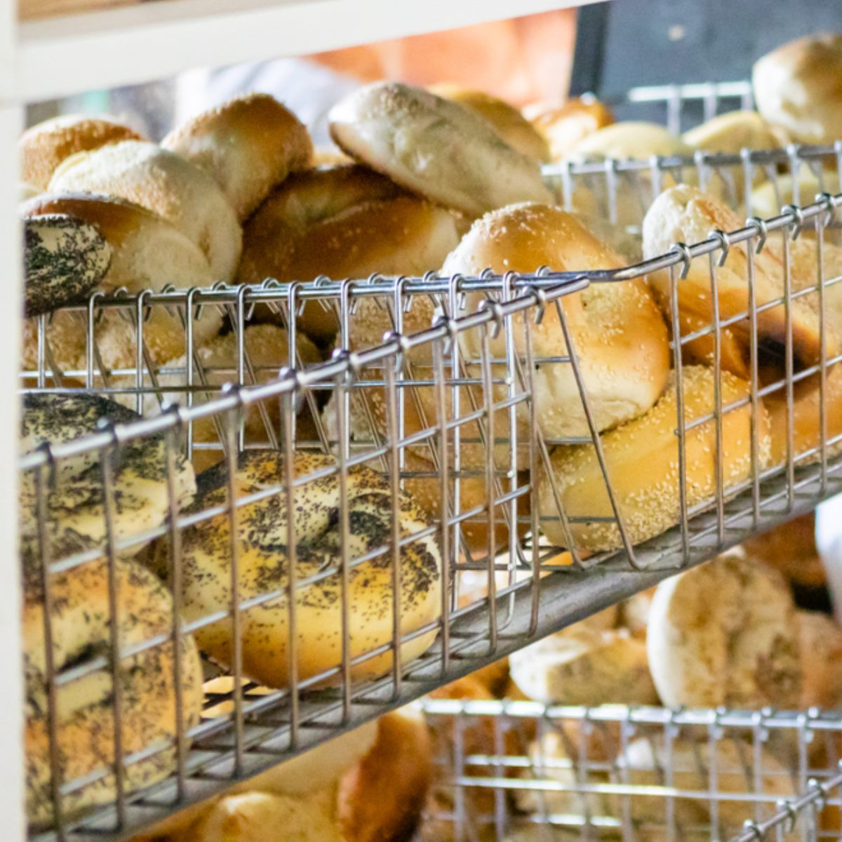 Win A 10 Broadway Bagels Gift Card (Plantation) Jeff Eats